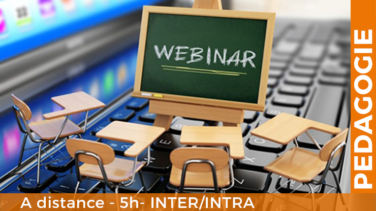 Accompagner En Temps Reel Avec Un Webinaire Ago